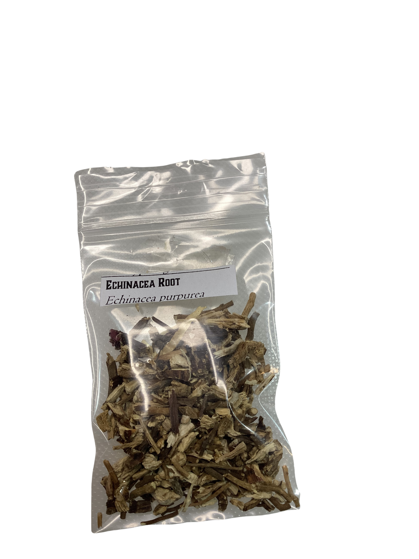 Echinacea Root (Echinacea purpurea)