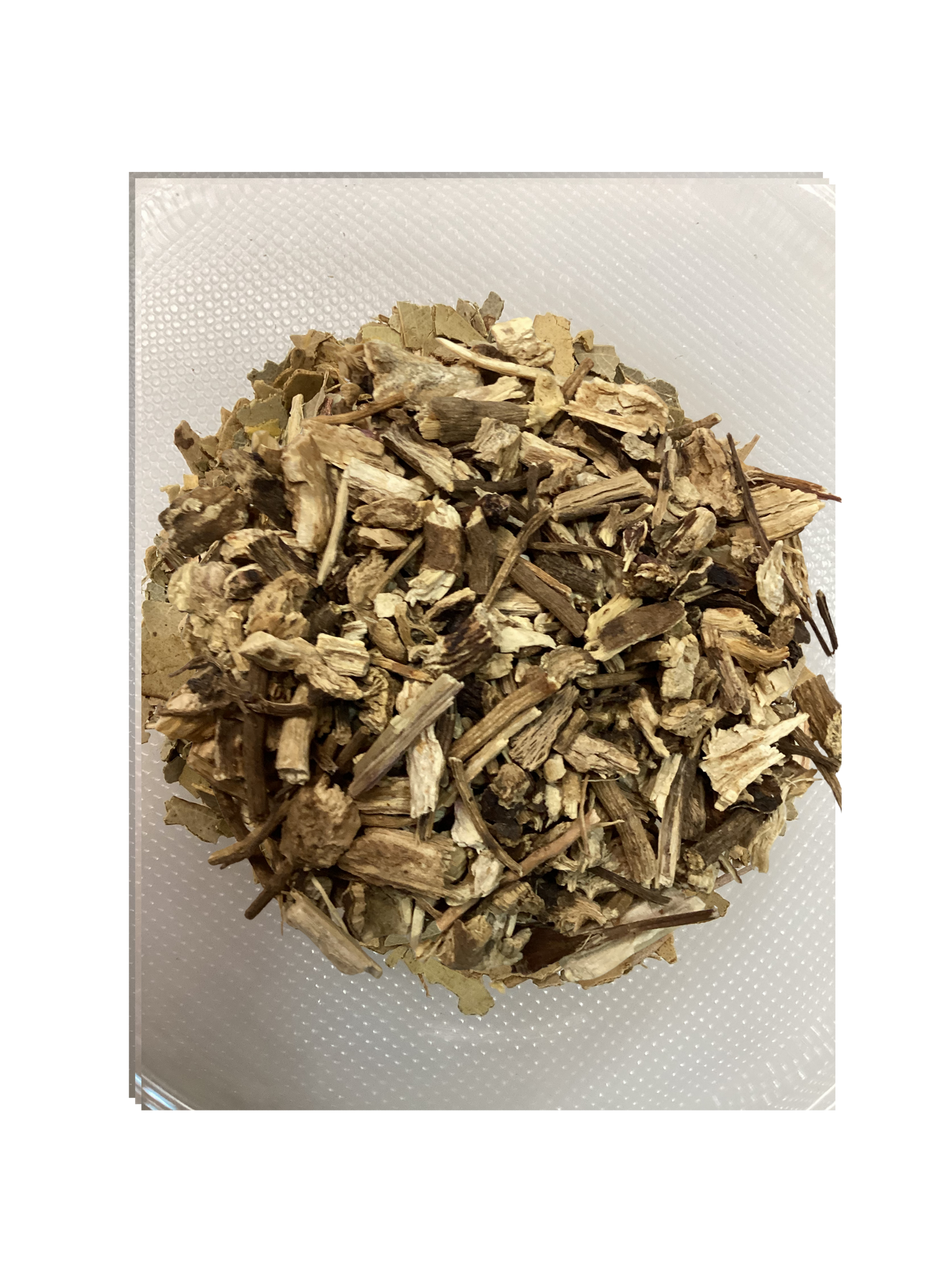 Echinacea Root (Echinacea purpurea)