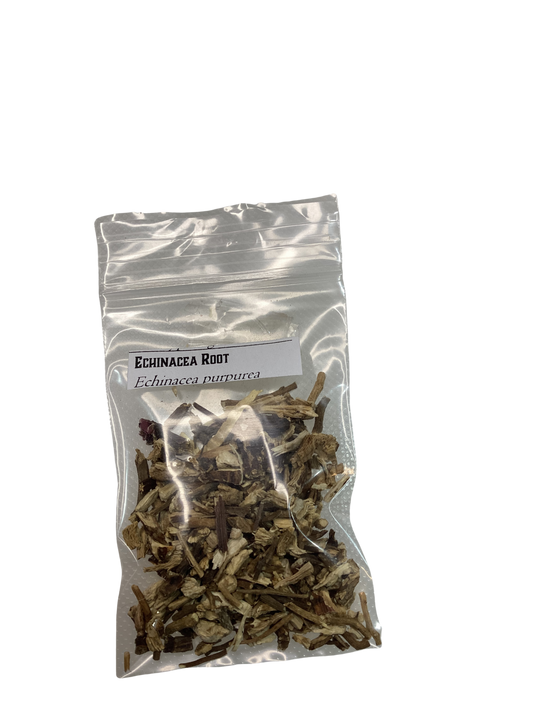 Echinacea Root (Echinacea purpurea) 