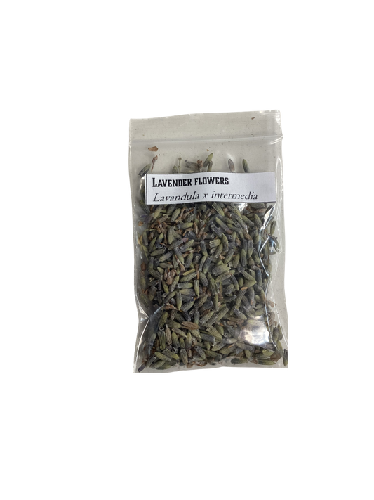 Dried lavender Flowers, Extra