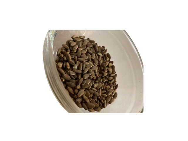 Milk Thistle Herb, dried