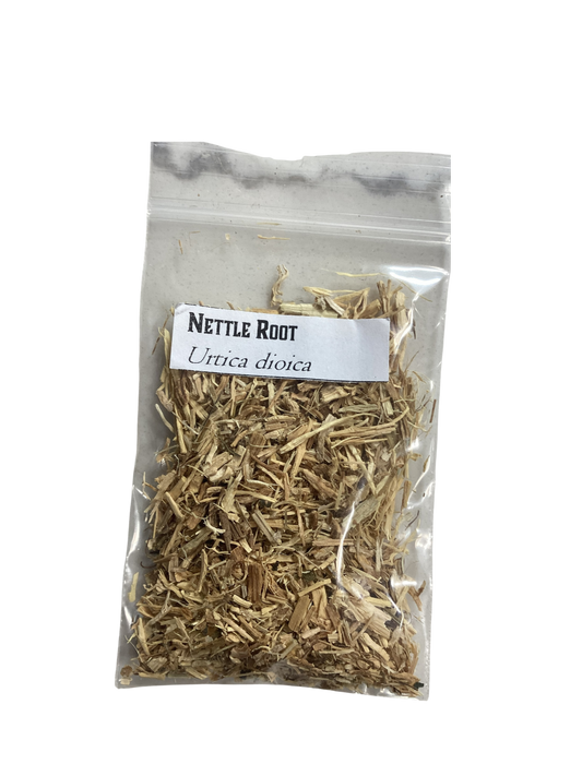 Stinging Nettle Root