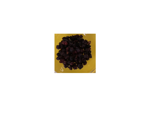 Schisandra Berry