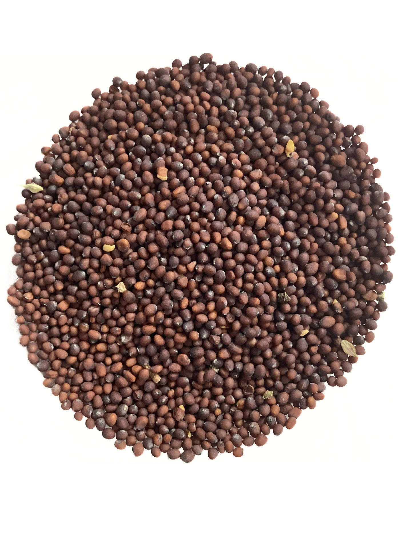 Mustard Seeds