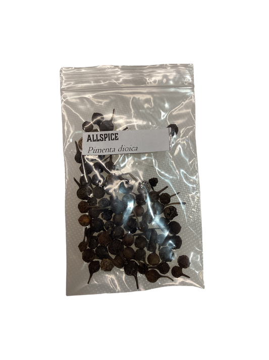 Allspice dried seeds