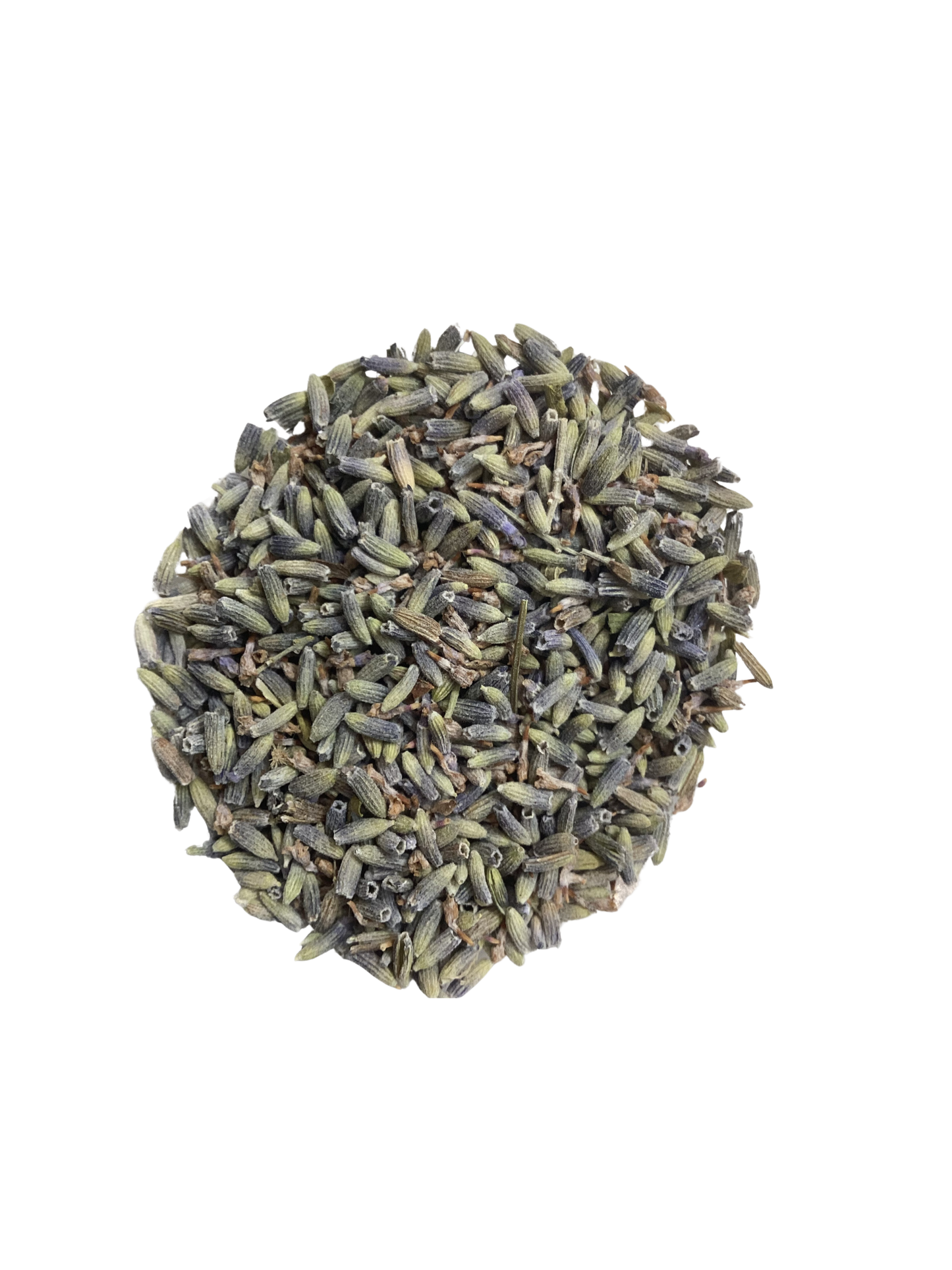 Dried lavender Flowers, Extra