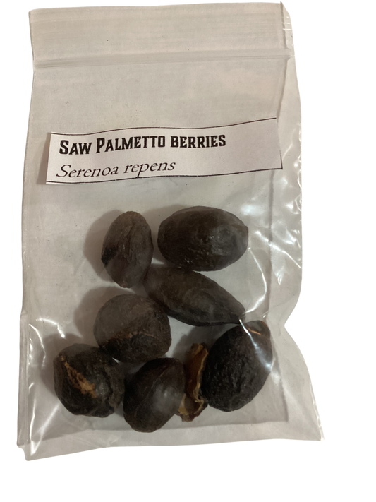 Saw Palmetto Berries, dried