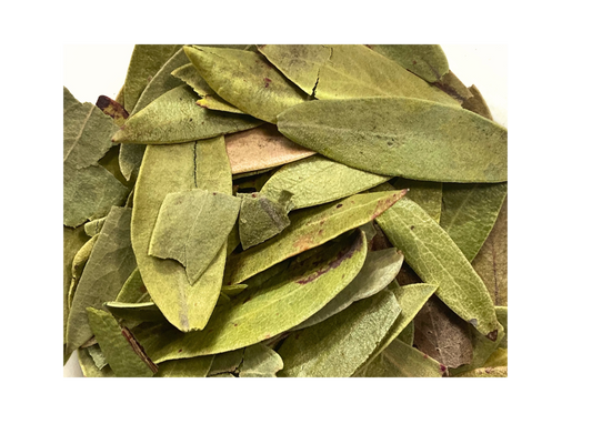 Uva Ursi Leaves, dried